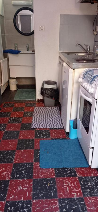 Appartement indépendant, deux personnes, clair et sympa Toulouse Extérieur photo